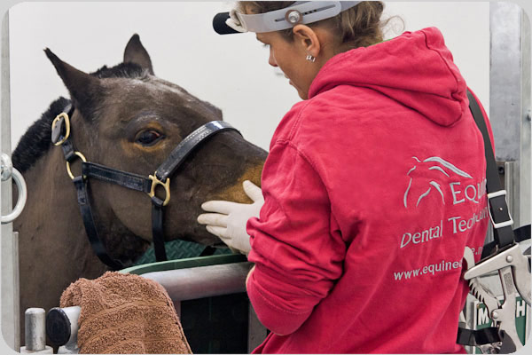Victoria-Axten Equnie Dental Care